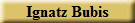 Ignatz Bubis