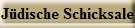 J�dische Schicksale
