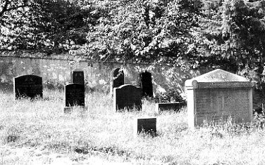 Jüdischer Friedhof Flörsheim365