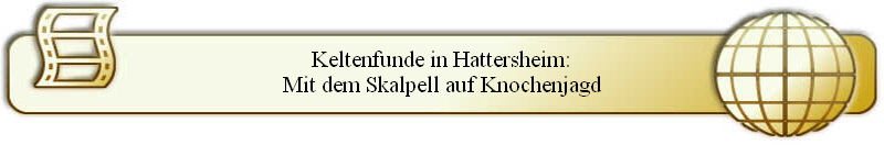 Keltenfunde in Hattersheim:
Mit dem Skalpell auf Knochenjagd