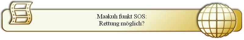 Maakuh funkt SOS:
Rettung m�glich?