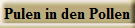 Pulen in den Pollen