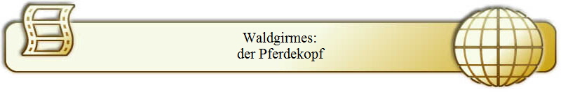 Waldgirmes:
der Pferdekopf