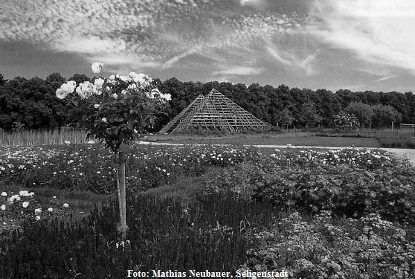 Rosarium Hattersheim Rosarium Hattersheim