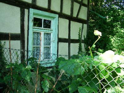 Alte M�hle049